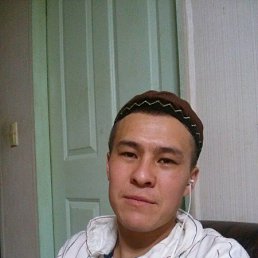 ������, ����, 41 ���