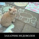 ���� ����, ������, 43 ���� - ��������� 10 ������ 2013 � ������ ���� ����������