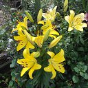 ����� ��������� �� ������� ����� ��� ������������