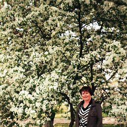 ������, �������, 70 ���