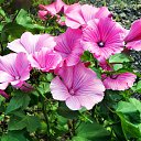 ���� ������� �., ����� - ��������� 22 ������� 2013 � ������ �������