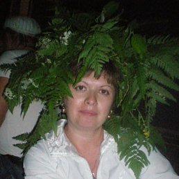 �������, ��������, 49 ���