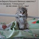 ���� �������, �������, 44 ���� - ��������� 6 ������ 2013 � ������ ������ ��������