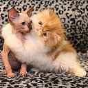 ���� �����, ����������� - ��������� 12 ����� 2014 � ������ ����� ��� ������������