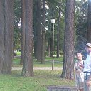  D.s., , 38  -  2  2013   10  2013,  