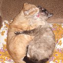 ���� �����, �������, 48 ��� - ��������� 5 ������� 2013 � ������ ���������