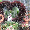 ���� ��������, ���������, 78 ��� - ��������� 8 ������� 2013 � ������ ���� ����������