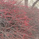 ���� �����, ������, 67 ��� - ��������� 21 ������� 2013 � ������ ���� ����������