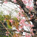 ���� ������, �����-���������, 61 ��� - ��������� 10 ����� 2014 � ������ ��������� ������, ������ 2012�