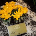 ���� Tim, ��������� - ��������� 25 ������ 2013 � ������ �������