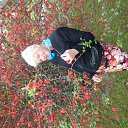 ���� ������, ���� - ��������� 15 ����� 2014 � ������ ���� ����������