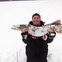 ���� ����, �����, 62 ���� - ��������� 17 ������ 2014