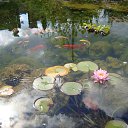 ���� ������ ����, ����, 44 ���� - ��������� 17 ������� 2013 � ������ �������� ������!�