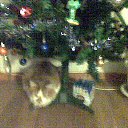 ���� ����, ������, 76 ��� - ��������� 20 ������ 2014 � ������ ���� ����������