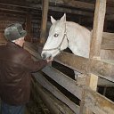 ���� ����, ��������, 74 ���� - ��������� 4 ������ 2014