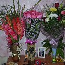 ���� ���������, �����������, 68 ��� - ��������� 3 ������ 2013 � ������ ���� ����������