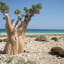 ���� Saeed, ������ - ��������� 31 ������ 2014 � ������ ���� ����������