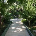 ���� �����, ���������, 64 ���� - ��������� 16 ������� 2013 � ������ ������� 2013 ���.�