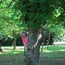 ���� �������, ������, 42 ���� - ��������� 12 �������� 2013 � ������ ���� ����������