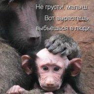 ���� �����, ����� - ��������� 27 ������ 2014