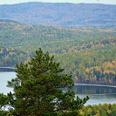 ���� Svann, ���������, 71 ��� - ��������� 6 ������� 2013 � ������ ������. ��. �������.�