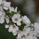 ���� �����, ������, 42 ���� - ��������� 16 ������� 2013 � ������ ���� ����������