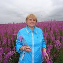 ���� �������, �������, 67 ��� - ��������� 17 ������ 2013 � ������ ���� ����������