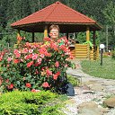  Ojofo( ),  -  4  2013    