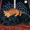  Skoj,  -  6  2014   ,,ܻ