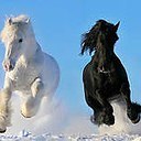 ����� �� ������� ������ ��������