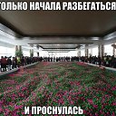 ���� �@���@, ����������, 49 ��� - ��������� 5 ������ 2013 � ������ ������ ��������