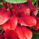 ���� Larisa, ����, 41 ��� - ��������� 10 ������� 2013 � ������ ���� ����������