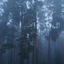  Loseff Yurij, , 63  -  30  2013    