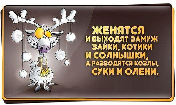   - 26  2014  21:58