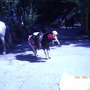 ���� ����, ������, 51 ��� - ��������� 23 �������� 2013 � ������ �������������