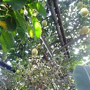 ���� ����, ����������� - ��������� 20 ������ 2014 � ������ �����������