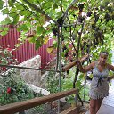 ���� �������, ���������, 51 ��� - ��������� 5 ������ 2013