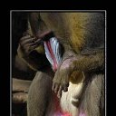 ���� ����, ������, 54 ���� - ��������� 31 ������� 2013 � ������ �������������