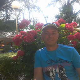 ���� �������, ������, 53 ���� - ��������� 20 ������� 2013