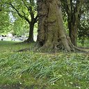 ���� ������, �����-���������, 61 ��� - ��������� 10 ����� 2014 � ������ ���������, ������ 2010�