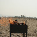   , , 53  -  6  2013   2013 