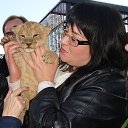 ���� ������, ���-��, 51 ��� - ��������� 22 ������ 2014 � ������ ���� ����������