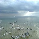 ���� ������, ������, 50 ��� - ��������� 10 ������� 2013 � ������ ������ ����!! (���� ���)�