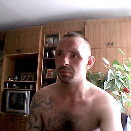 ���� ����, �������, 47 ��� - ��������� 2 ������� 2013