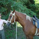 ���� ���������, ������, 54 ���� - ��������� 25 ������� 2013 � ������ ���� ����������