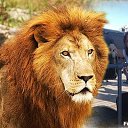 ���� ������, �����-��������� - ��������� 14 �������� 2013 � ������ ���� ����������