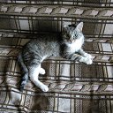 ���� �����, ������� - ��������� 3 ����� 2014 � ������ ���� ����������