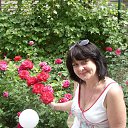 ����-������ ������ �� ������� ����� ��� ������������