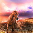 ���� ������, ������, 46 ��� - ��������� 17 ������ 2014