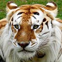 ���� �����, �����-��������� - ��������� 29 �������� 2013 � ������ ���� ����������